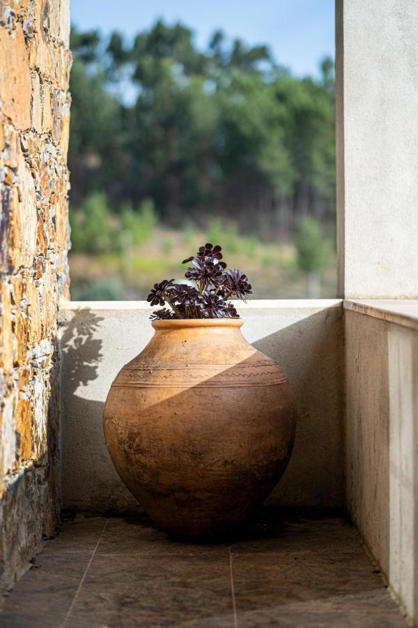 Quinta Da Palhota Villa Vila de Rei Eksteriør billede